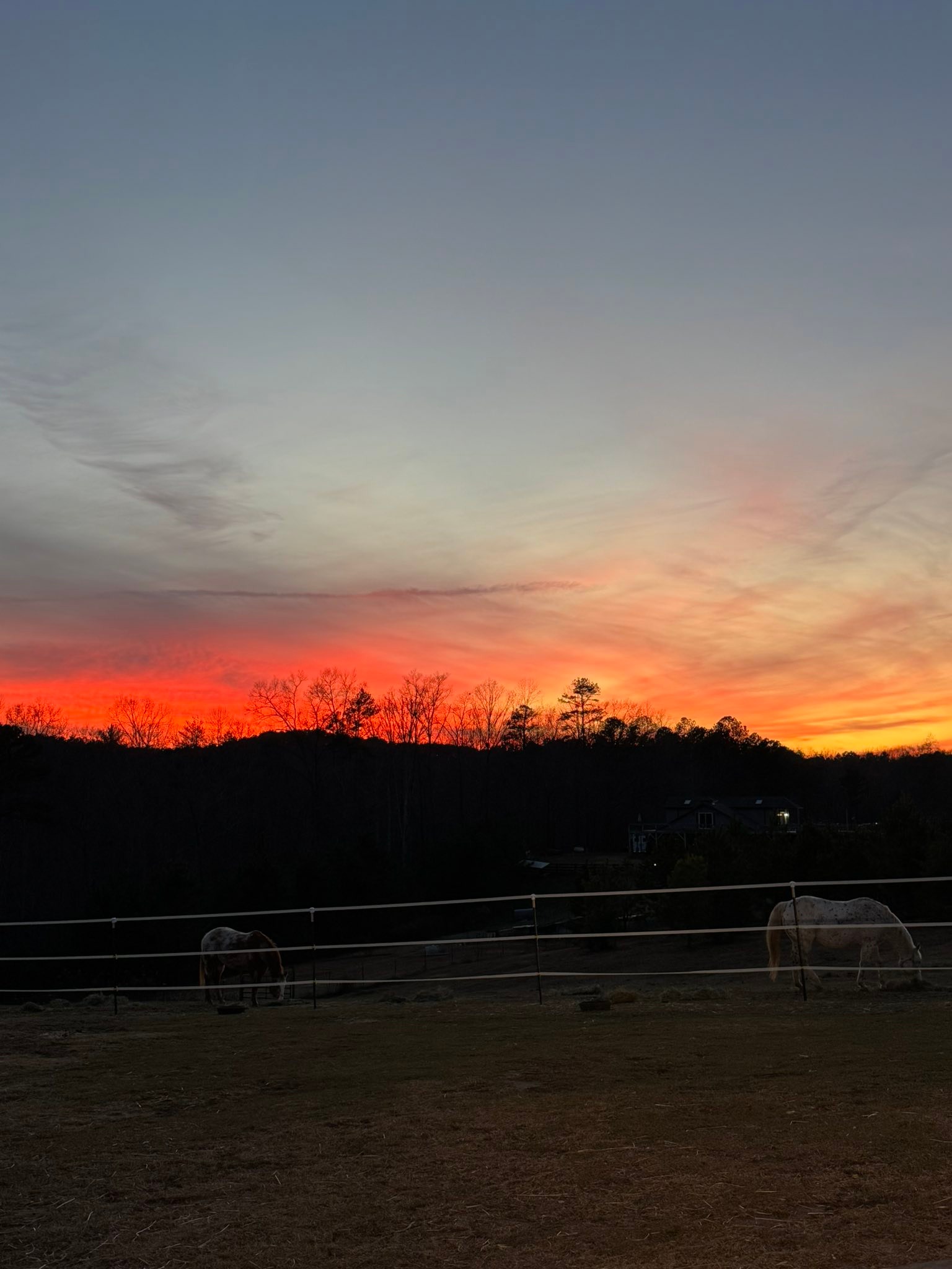 Winning Spirit Ranch Tamassee, SC | Tamassee SC