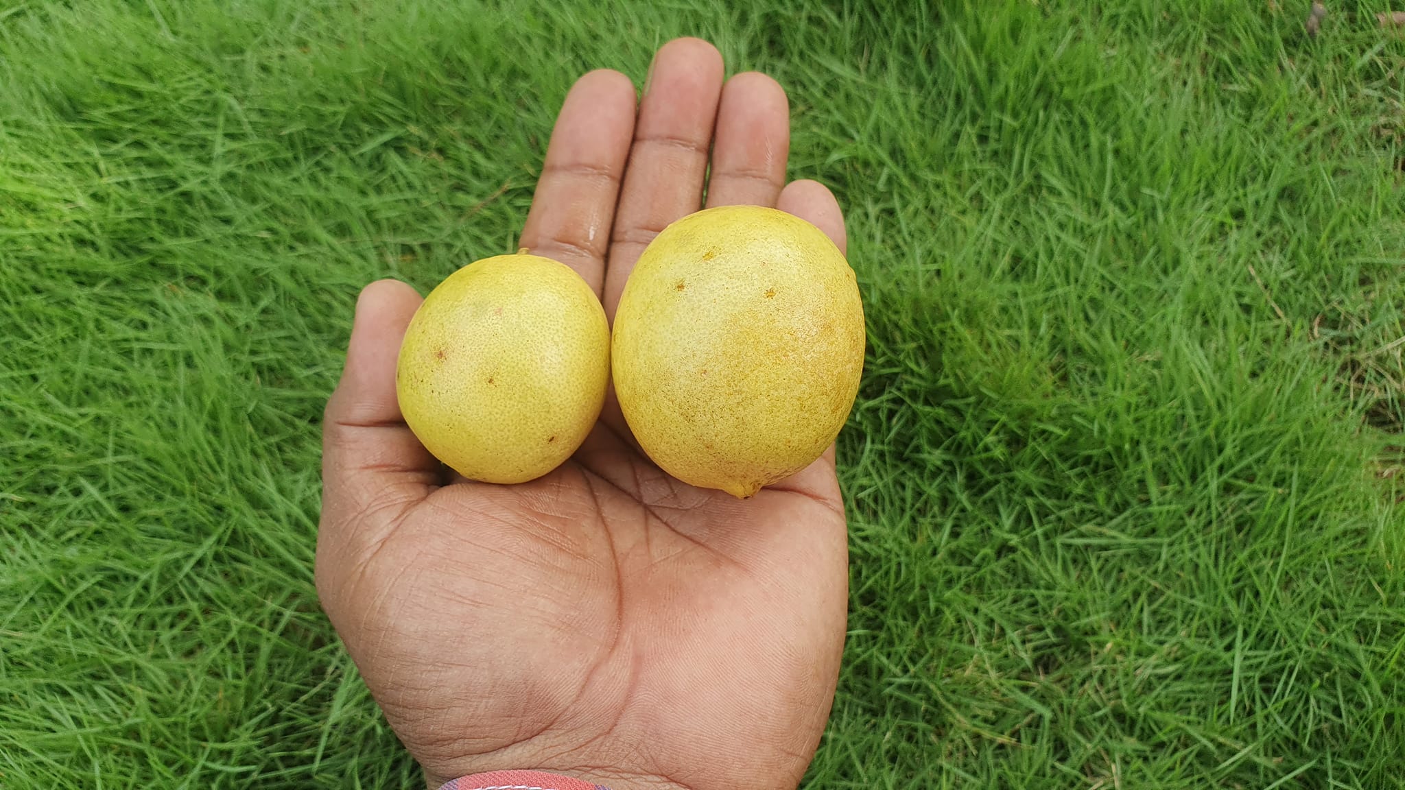 अगर आपके हाथ में दो बिजनेस की रेखाएं... - Abhishek palmist | Facebook