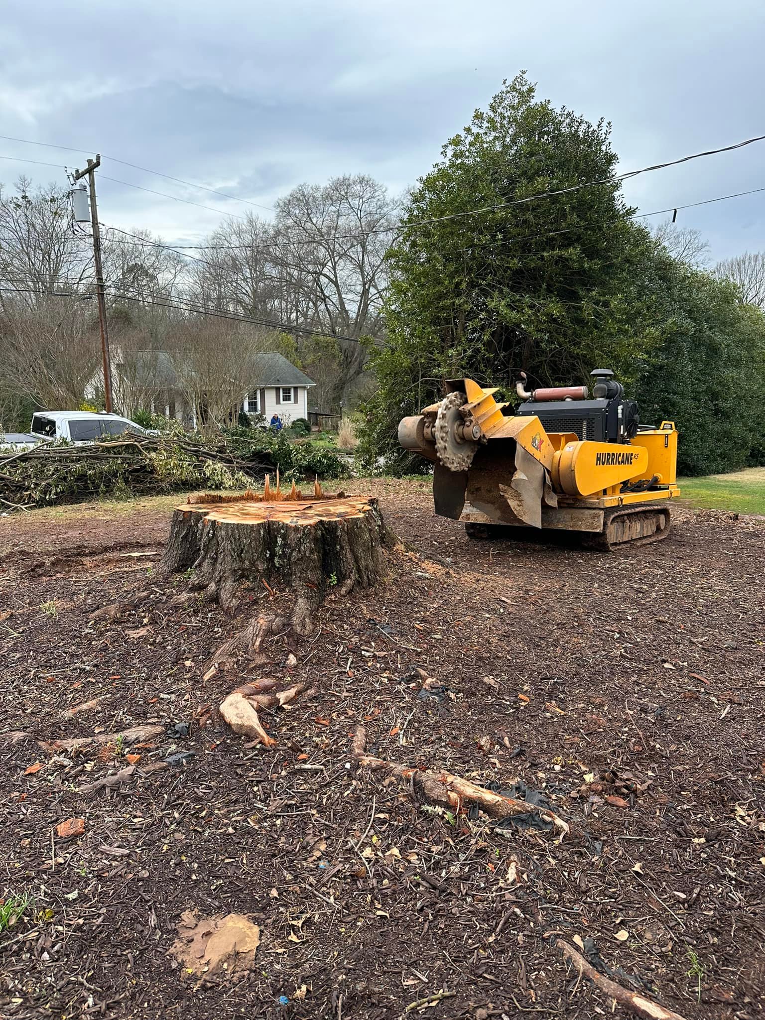 Grind-Time Stump Removal | Greer SC