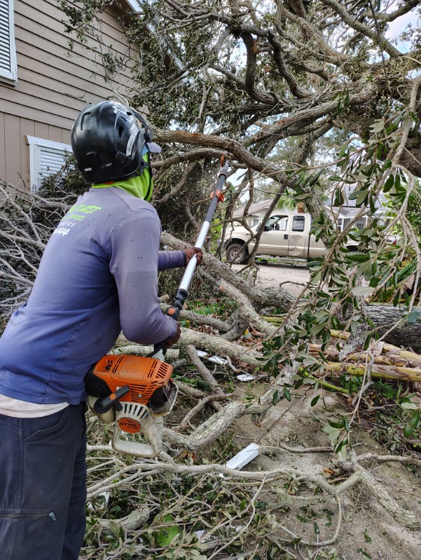 Treasure Coast Tree & Land Services | Vero Beach FL