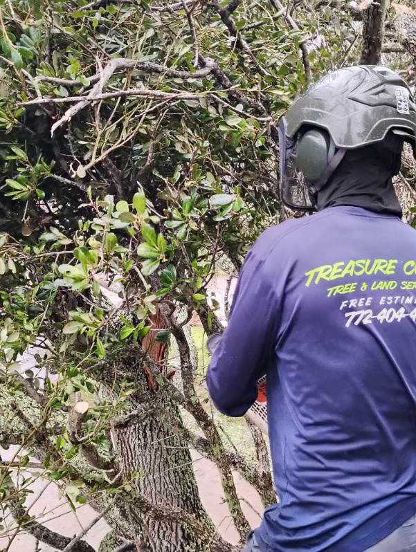 Treasure Coast Tree & Land Services | Vero Beach FL