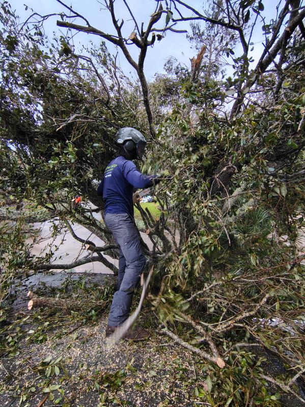 Treasure Coast Tree & Land Services | Vero Beach FL