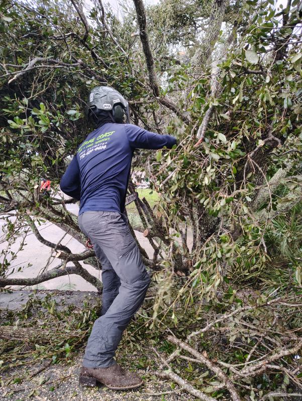 Treasure Coast Tree & Land Services | Vero Beach FL