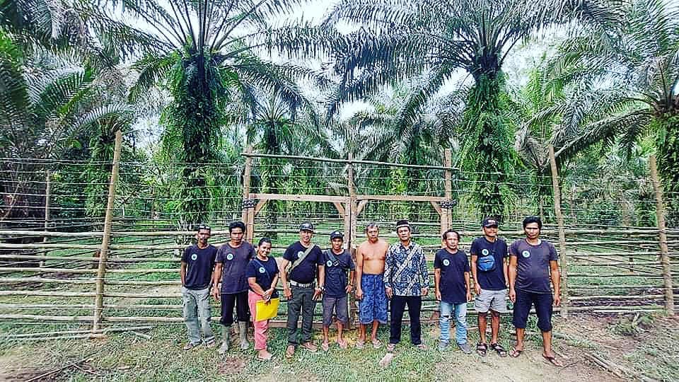 Our fourth predator-proof... - Sumatran Ranger Project | Facebook