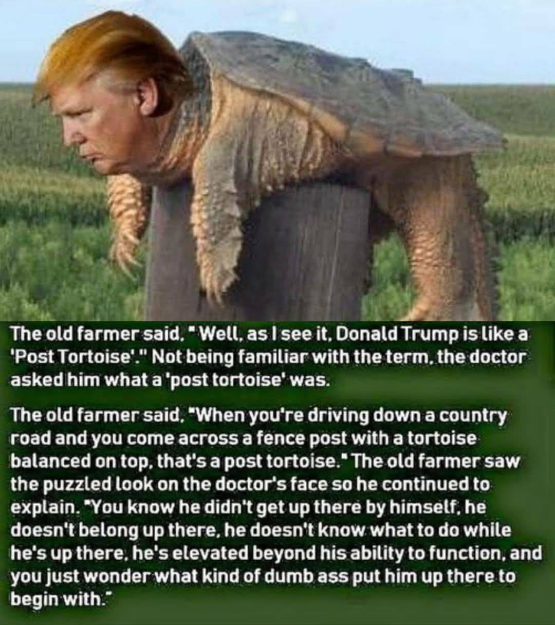 Not My President added a new photo. - Not My President