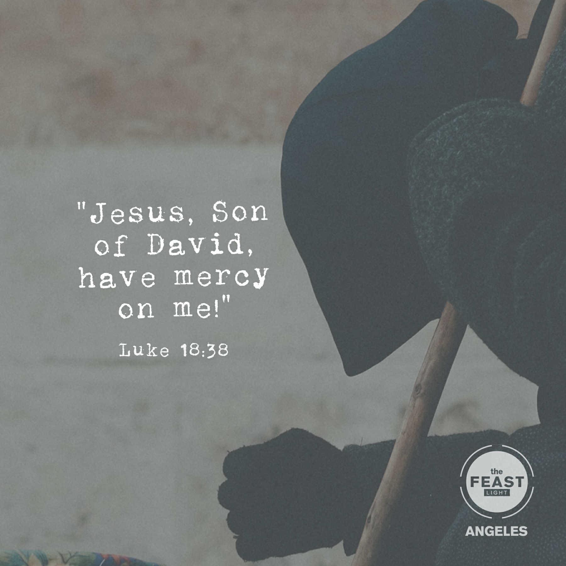 The Feast Light Angeles added a... - The Feast Light Angeles