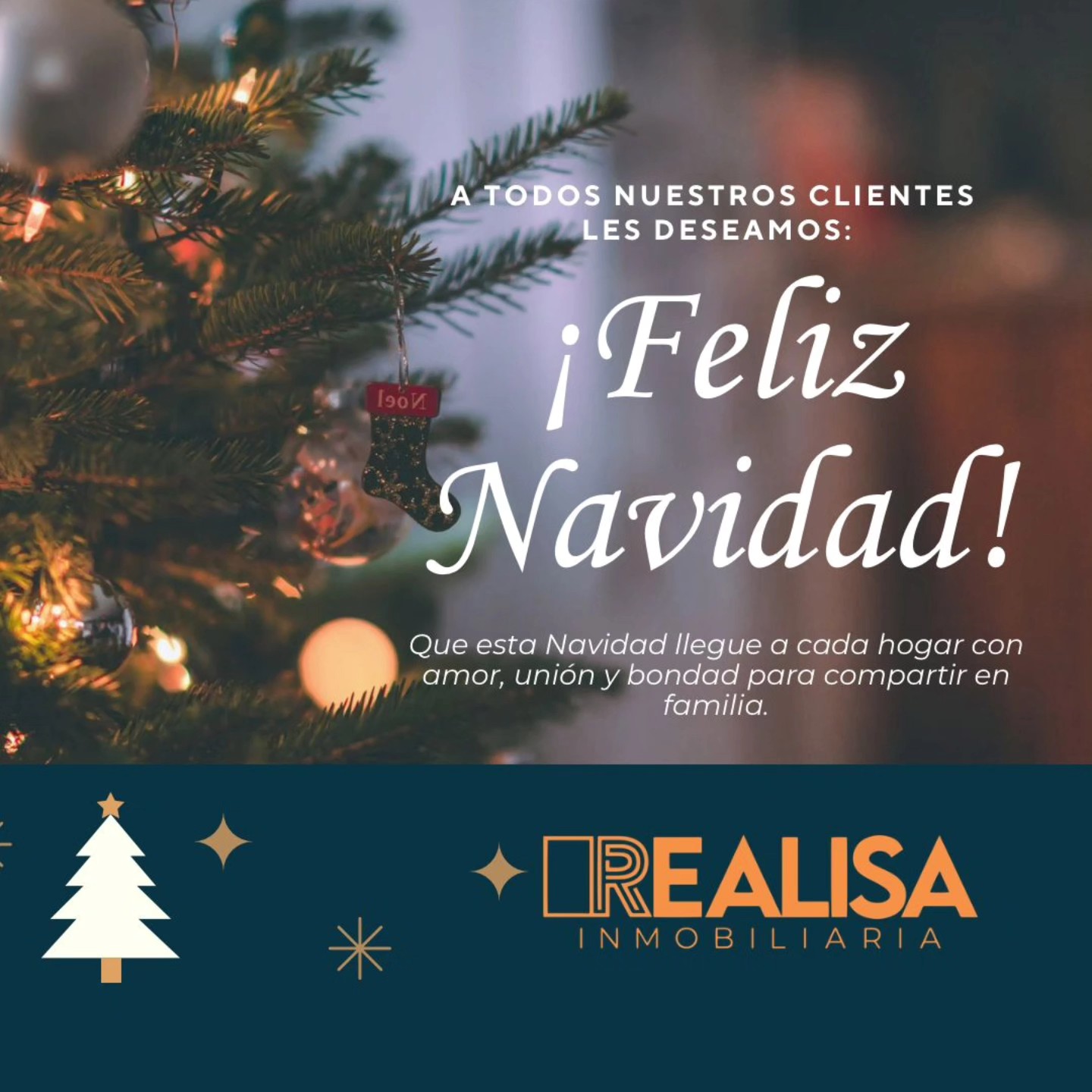 Realisa Inmobiliaria