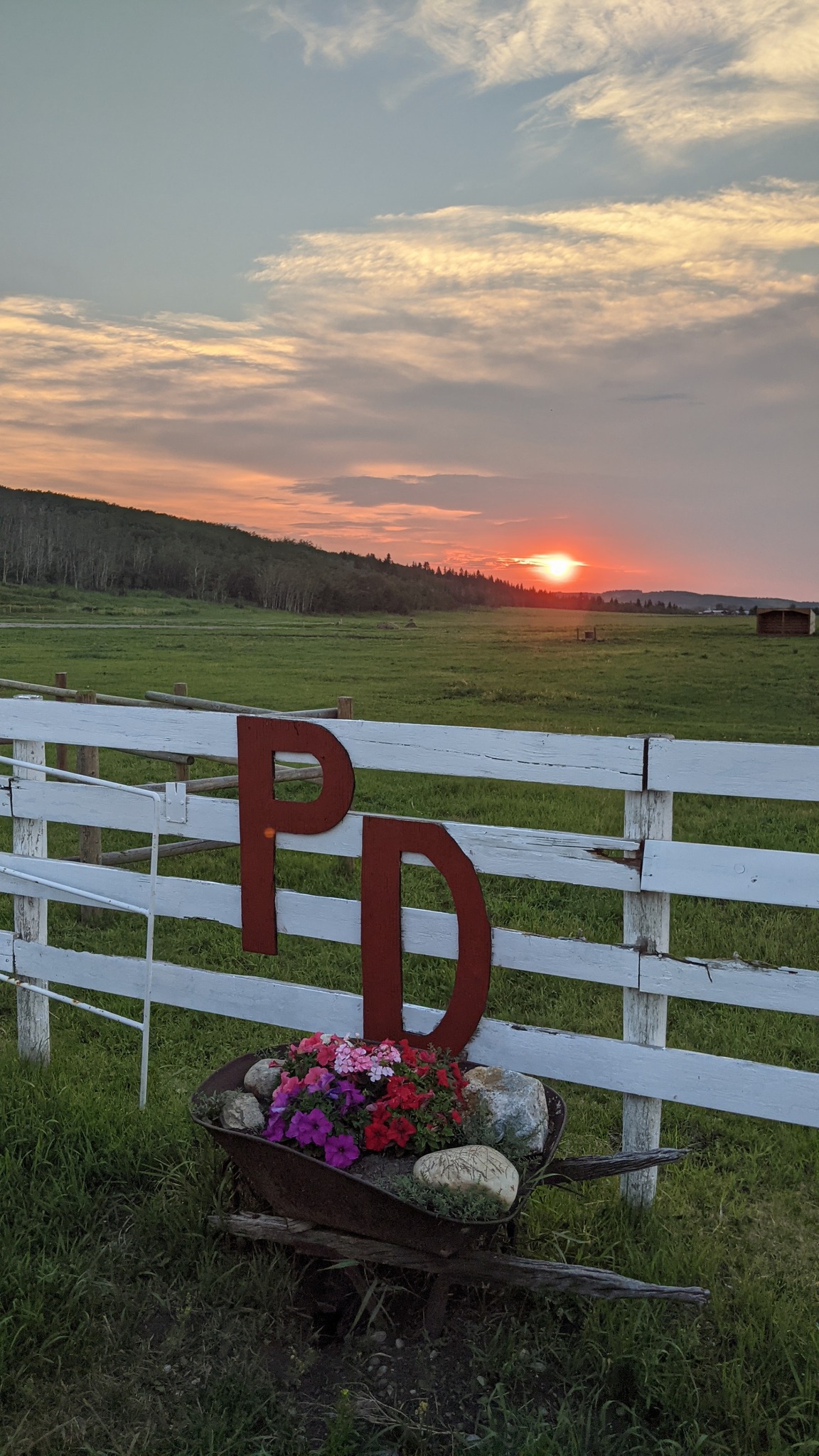 PD Ranch Horse Boarding | Foothills AB
