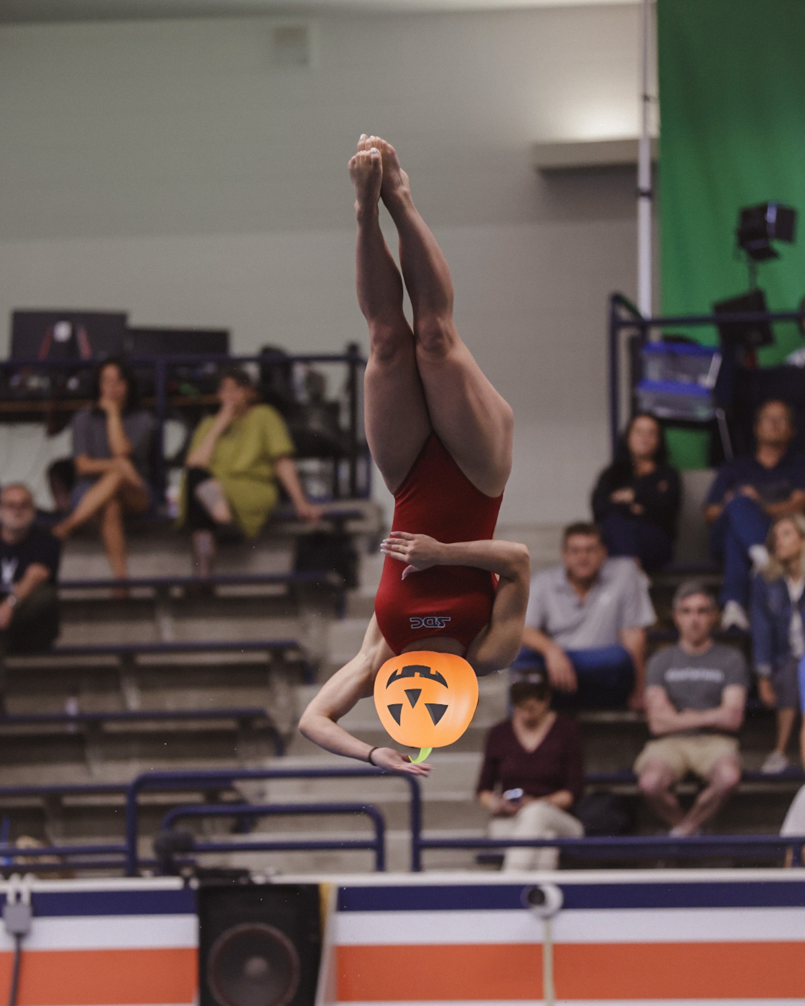USA Diving - USA Diving added a new photo.