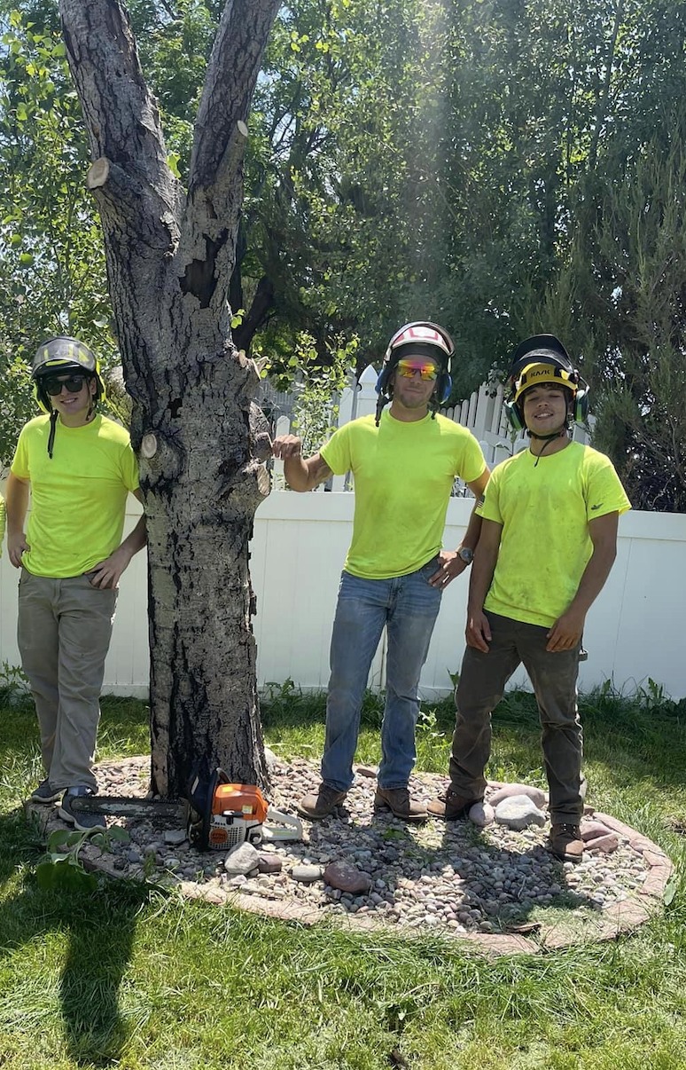 💼 Why Choose Clean Cut Tree... - Clean Cut Tree Service
