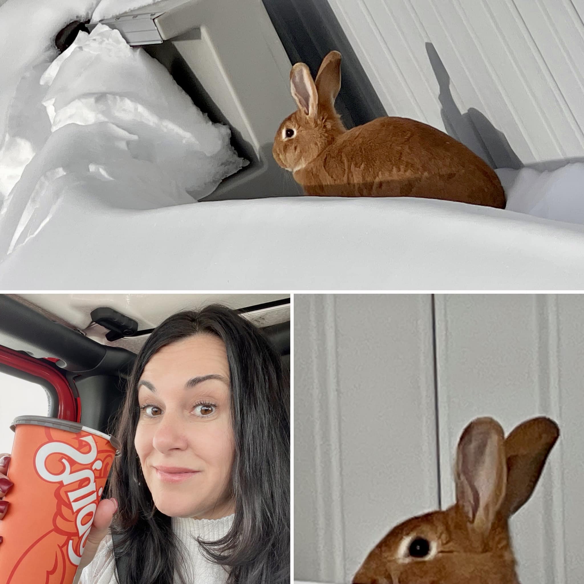 Jennifer - Was up to Renous today for work and on the way back I ...