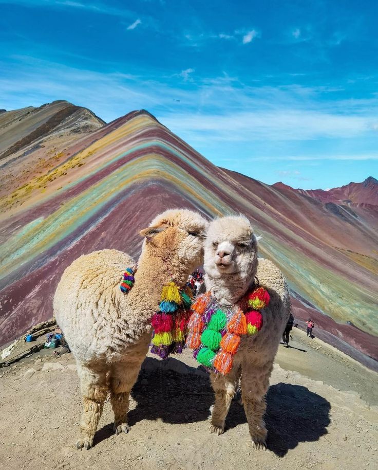 Hatun Runa Travel Peru | Cusco