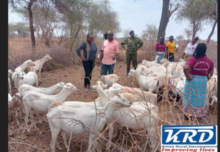 Kitise Rural Development