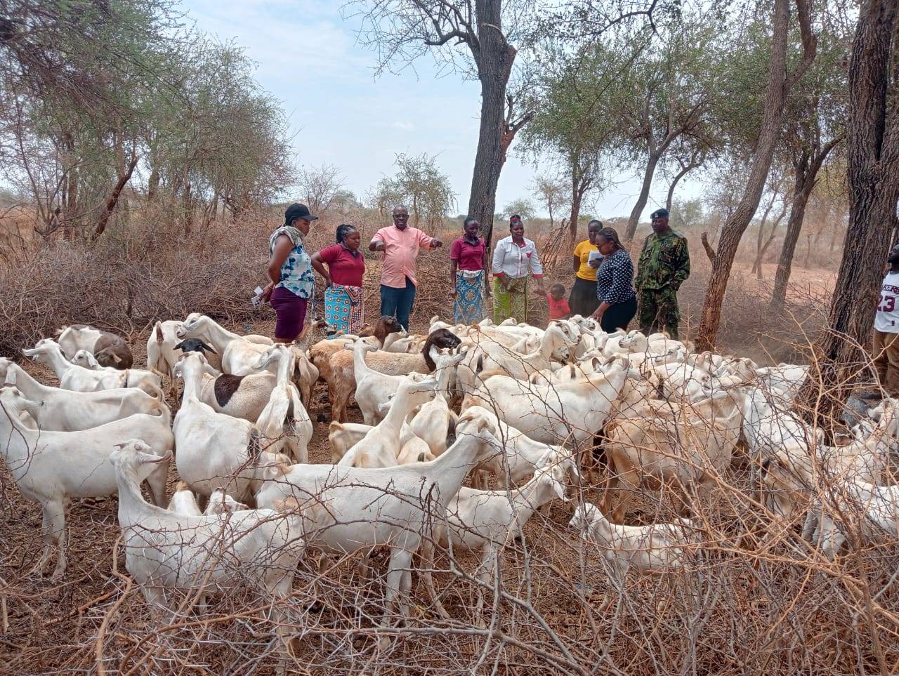 Kitise Rural Development