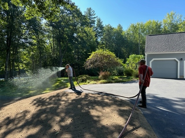 Maple Row Management, LLC
