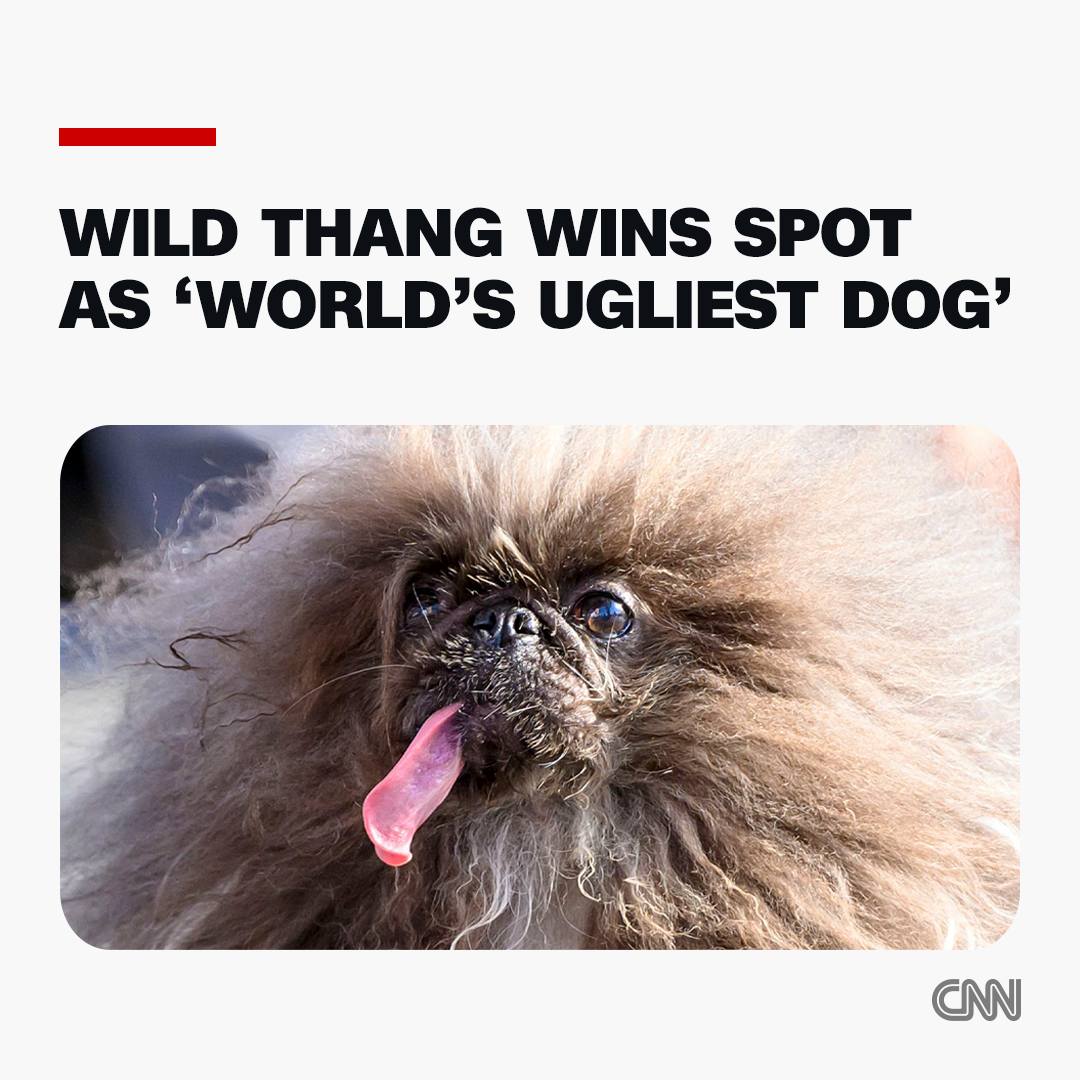 CNN - 