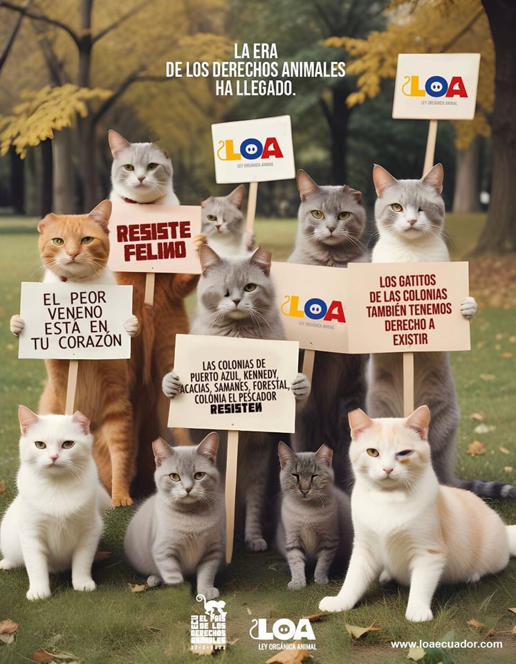 deva.cat | Quito