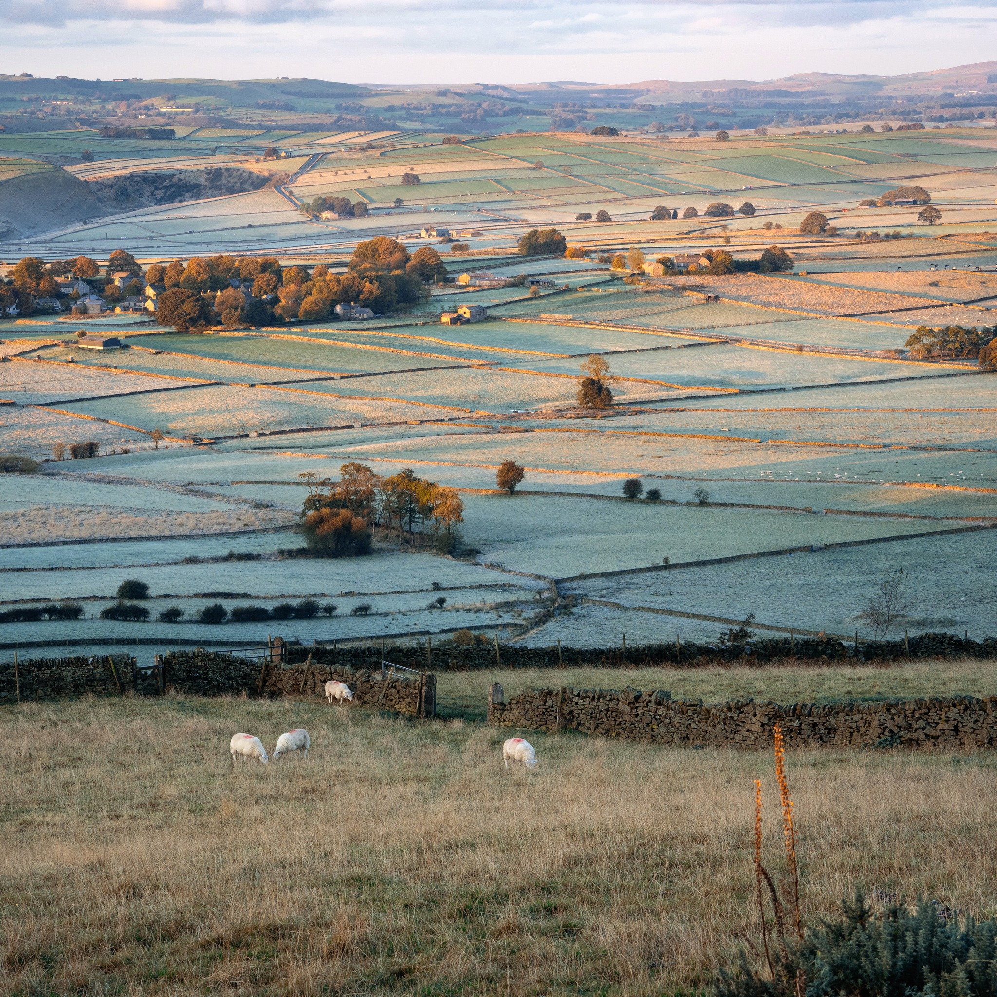 Peaklass - One of the first proper frosts of the year hit...