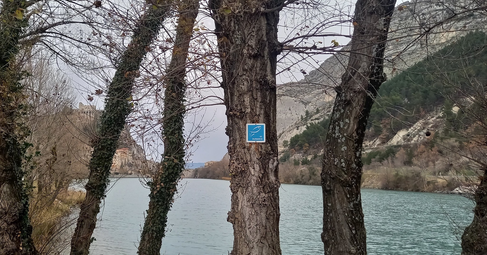 Fédératio... - Fédération de Pêche des Alpes de Haute Provence