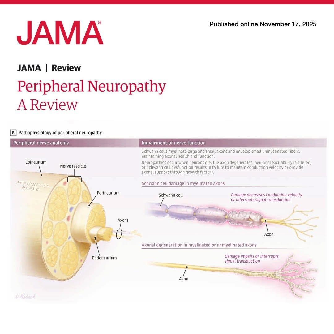 Dr. - Understanding shoulder innervation is crucial for acute and ...