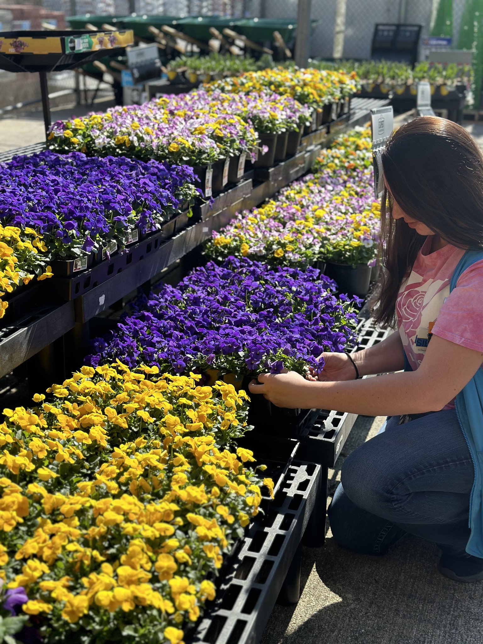 Spring's in bloom at Walmart! 🌷... - Walmart South Williamson