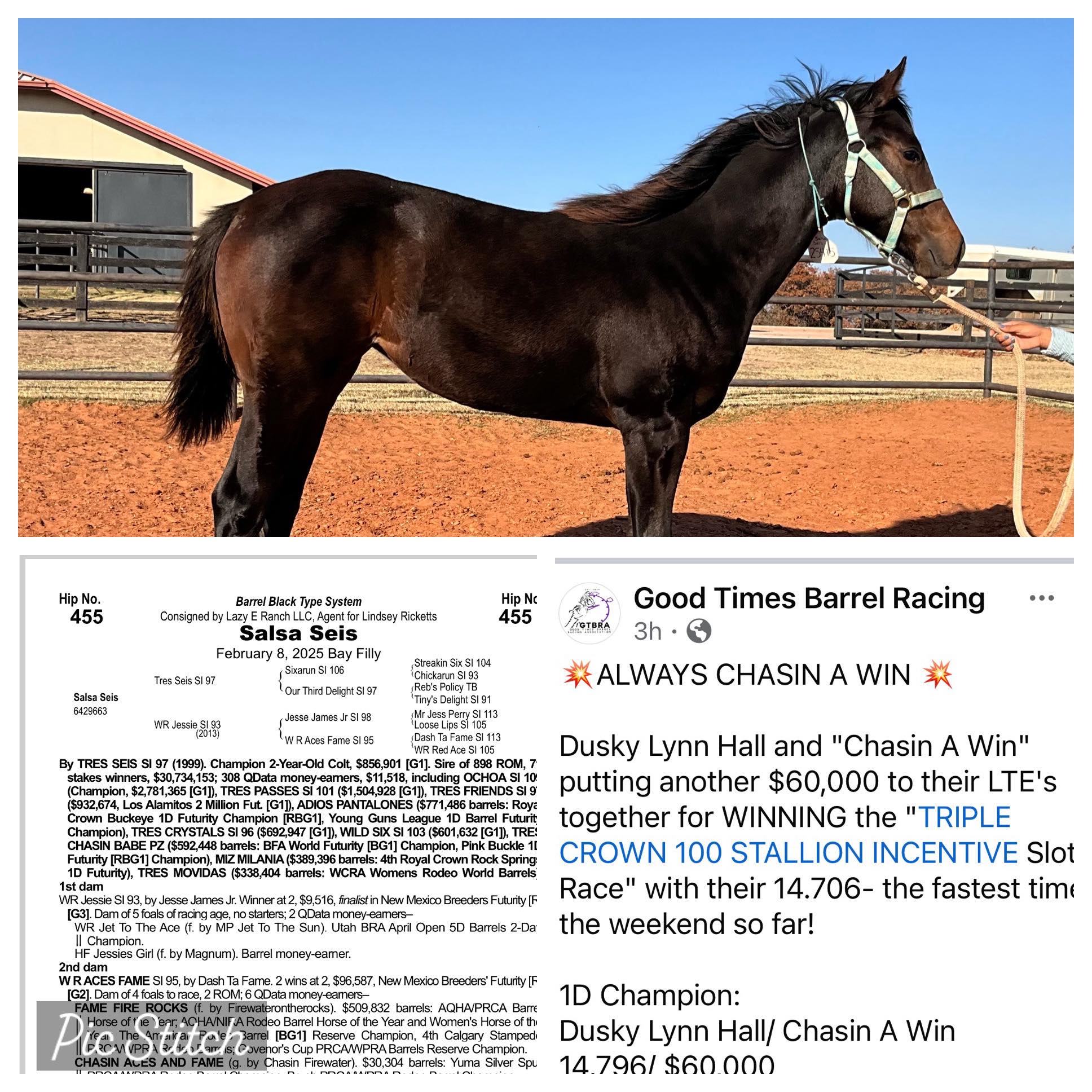 Lindsey - This filly will be selling in the upcoming Heritage Place ...