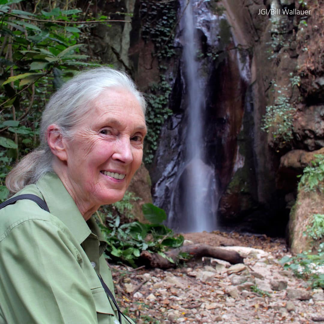 Dr. - Have you always wanted to hear Jane speak LIVE? Get to see Dr ...