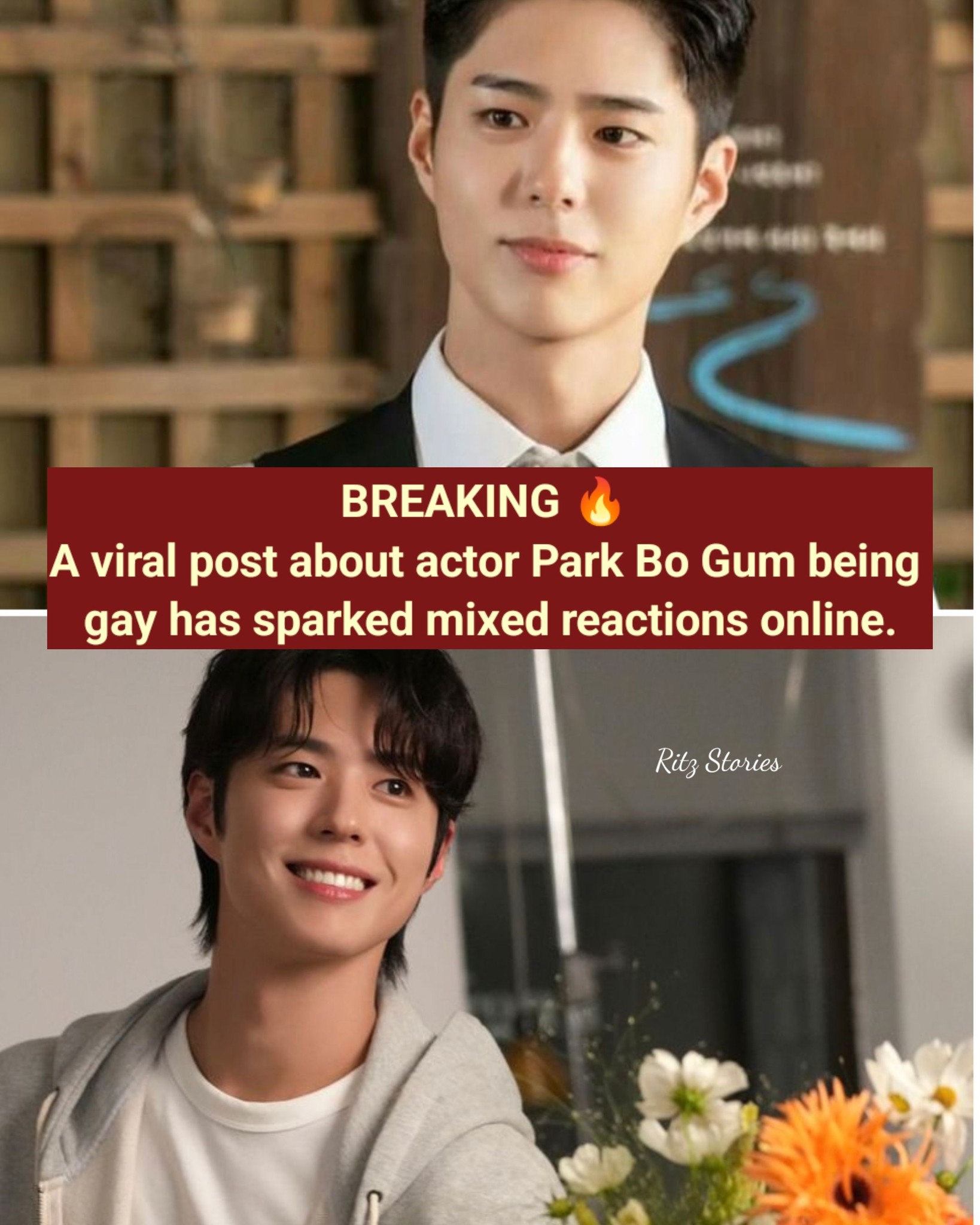 park bo gum scandal