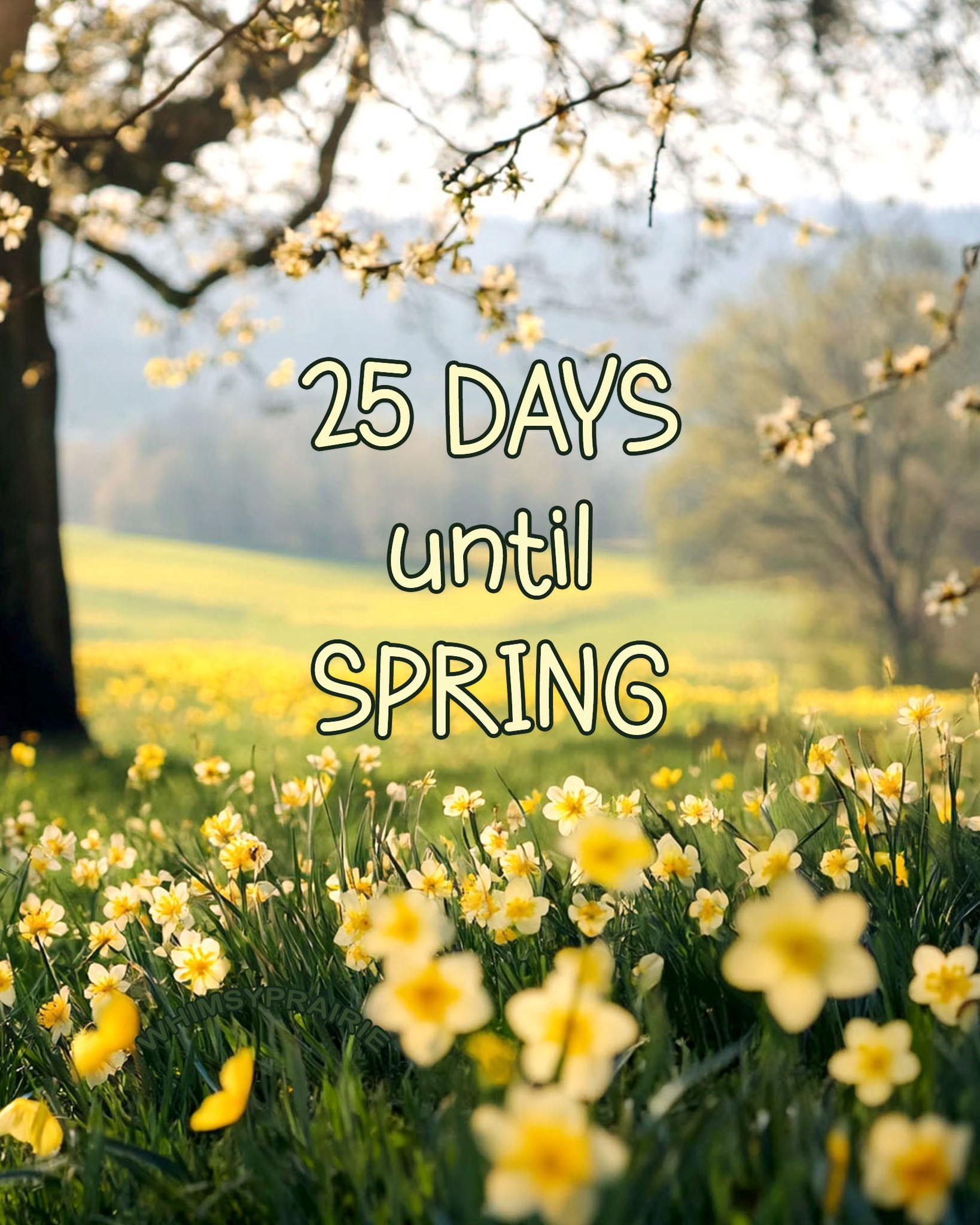 Whimsy Prairie - Spring is coming. 🌸🐦🌷🐝 #springcountdown | Facebook