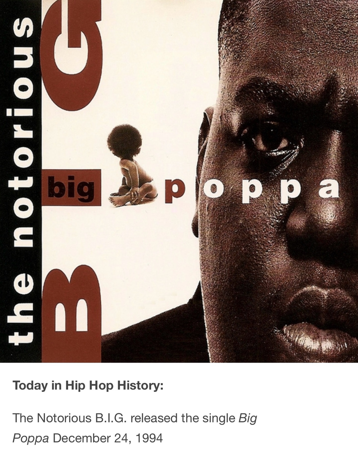 レコード The Notorious B.I.G. 9枚組Box ビギー Hip Hop