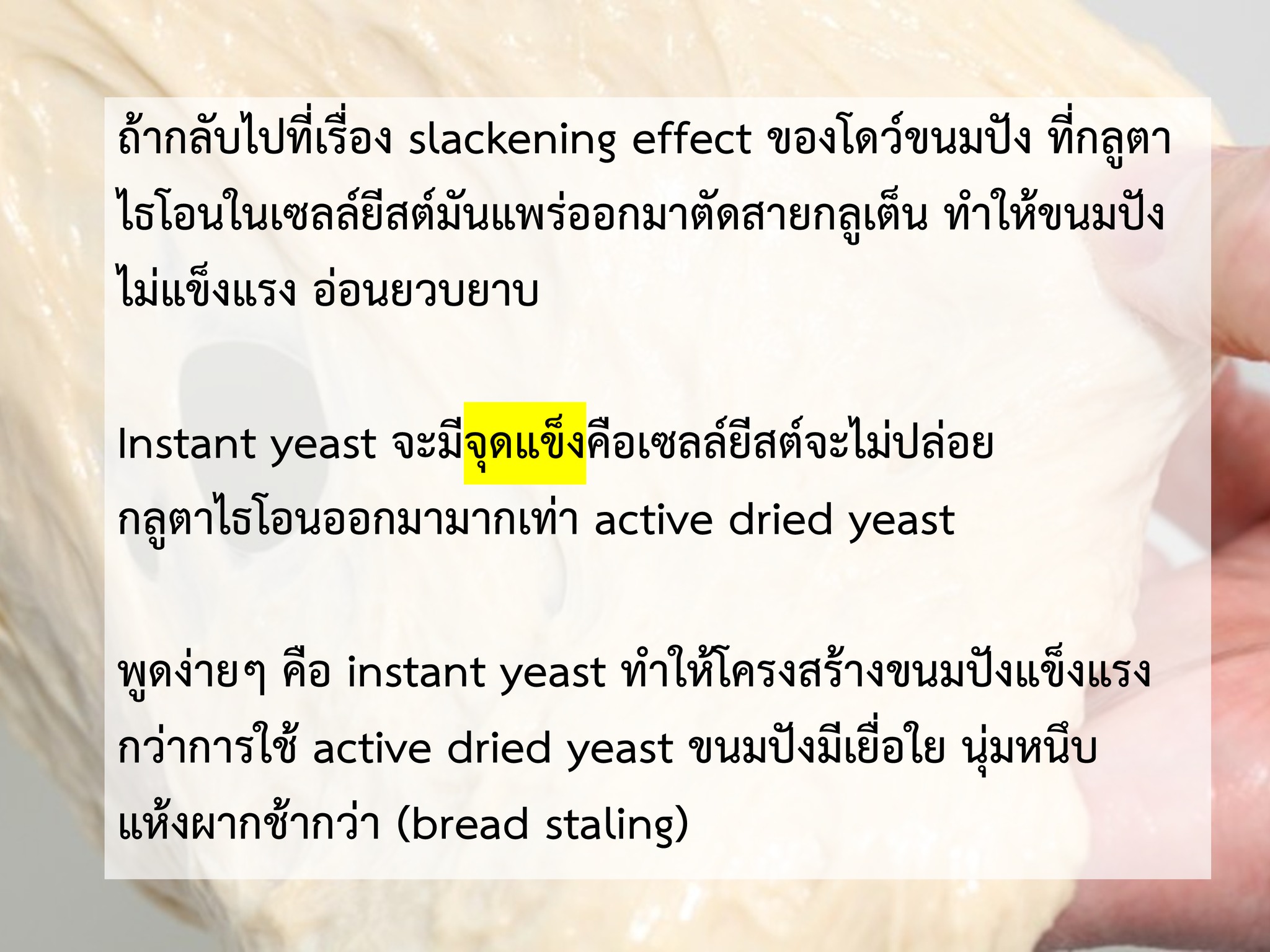 TUCK the CHEF - เชฟทักษ์ added... - TUCK the CHEF - เชฟทักษ์