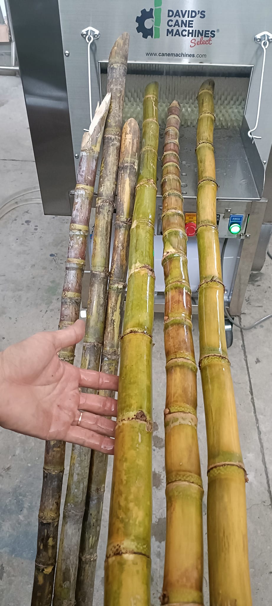The First Sugarcane Washing... - David's Cane Machines