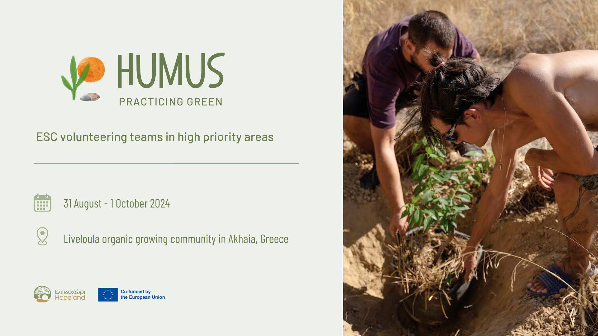 ️ Humus | Volunteering Teams in High... - Synergy Bulgaria | Facebook