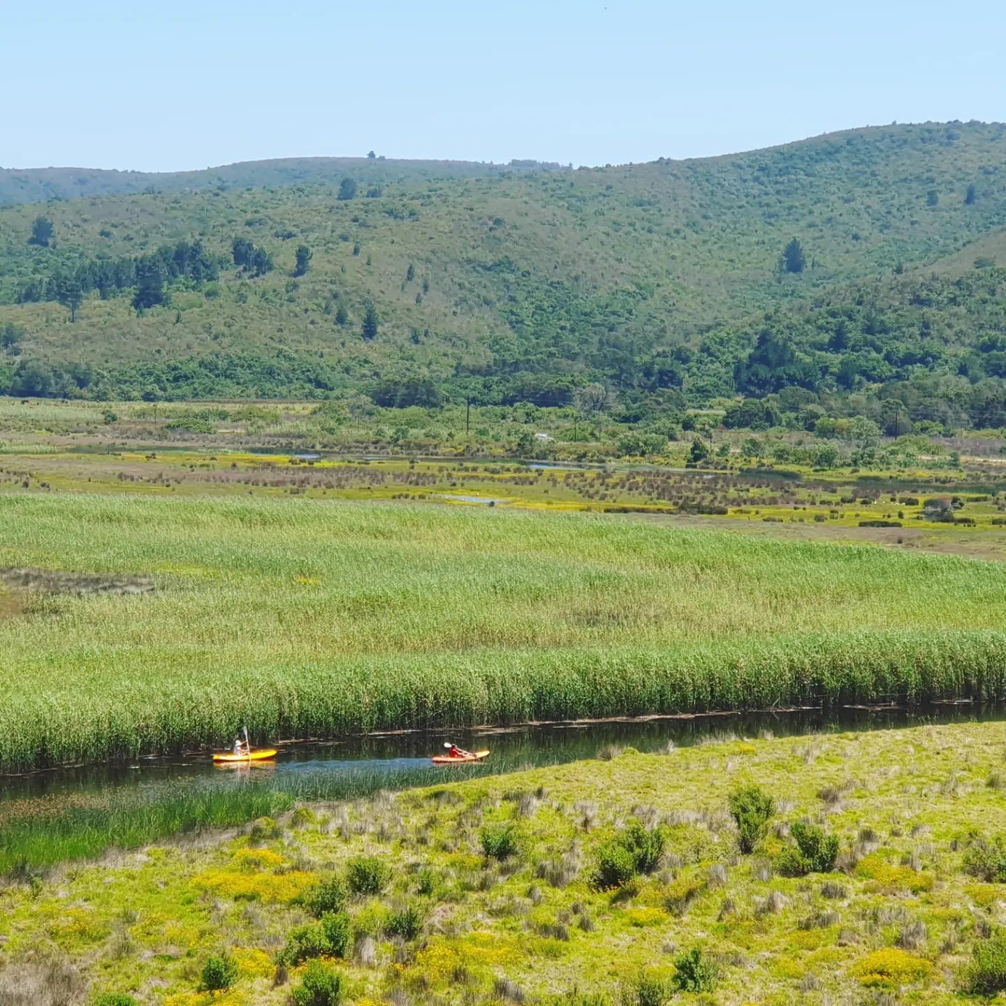 Bitou Kayaks