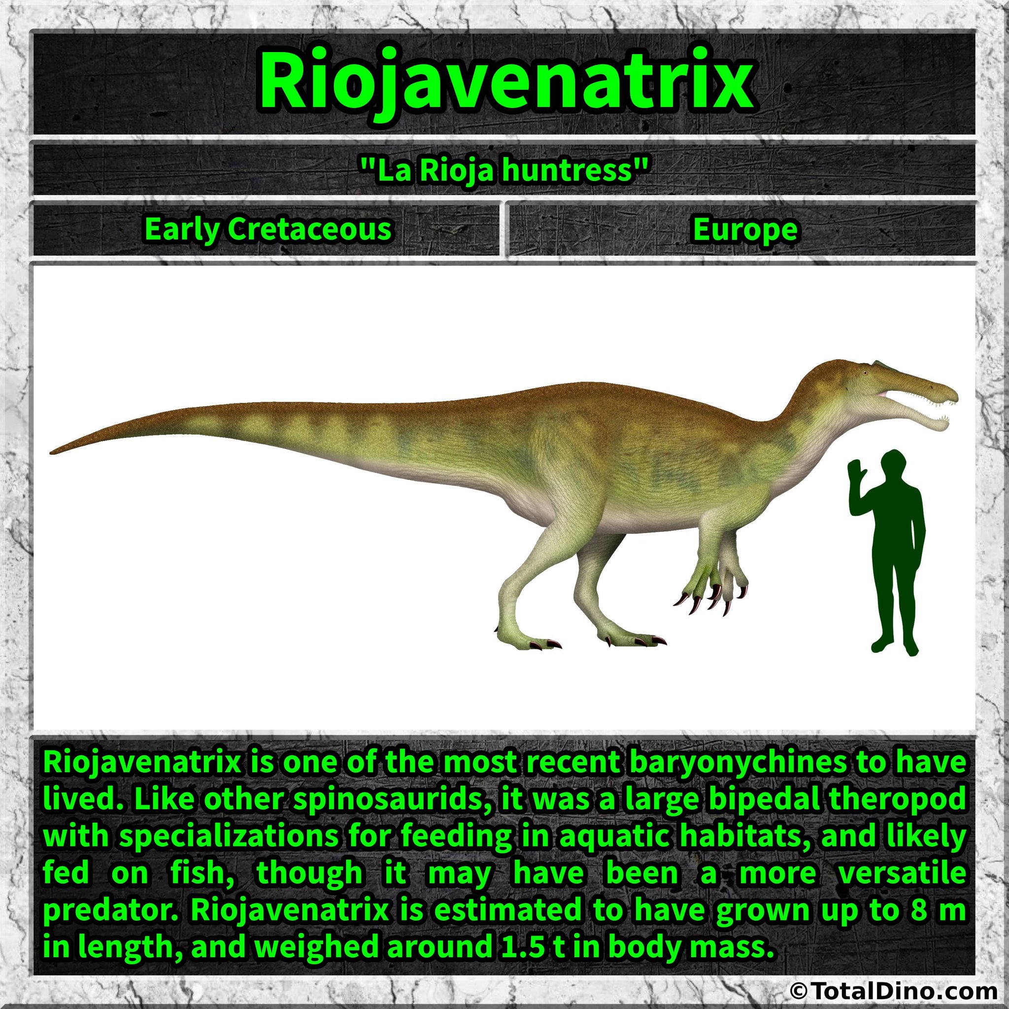 Dinosaurs | Riojavenatrix is one of the most recent baryonychines to ...