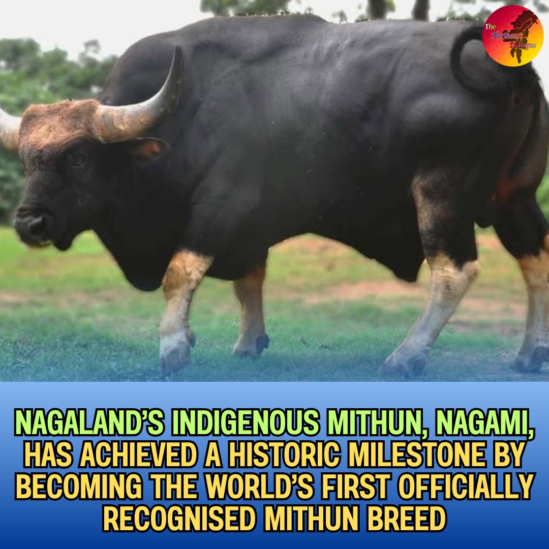 A proud moment for India’s living... - The Northeast Dialogue | Facebook