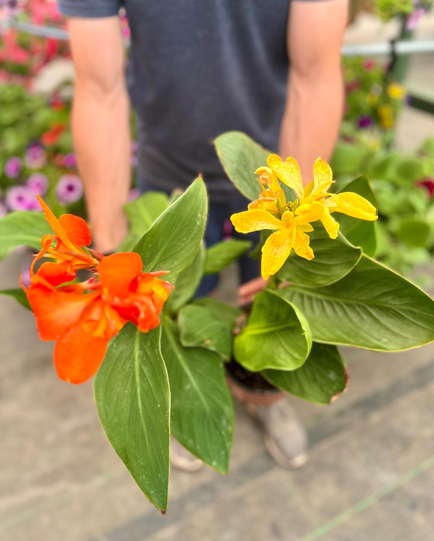 🌺 Bring the tropics to... - The Watering Can Flower Market | Facebook