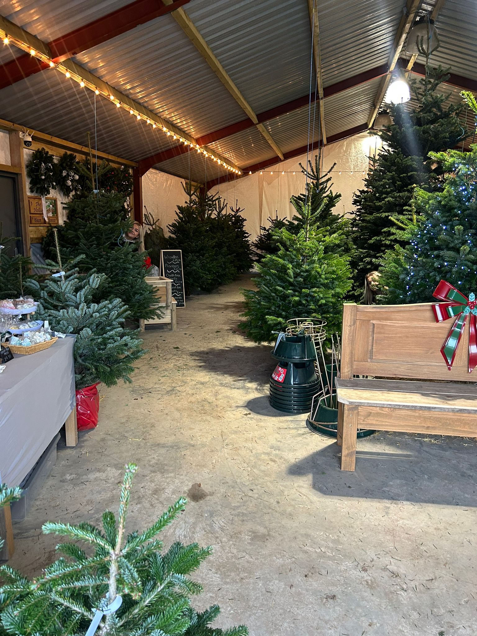 The Hollies Christmas Tree Farm | Roos