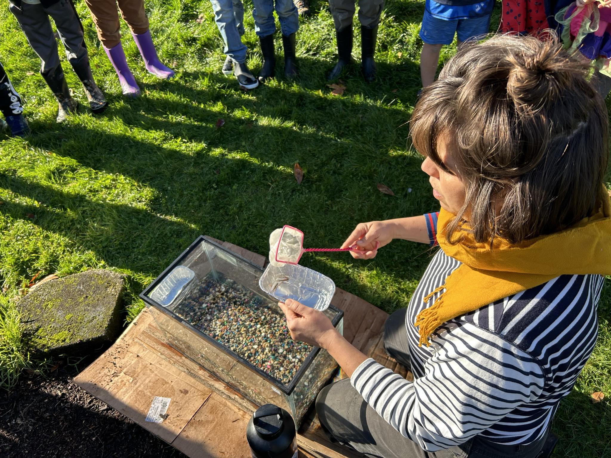 The Community Roots School - Silverton, OR | Silverton OR