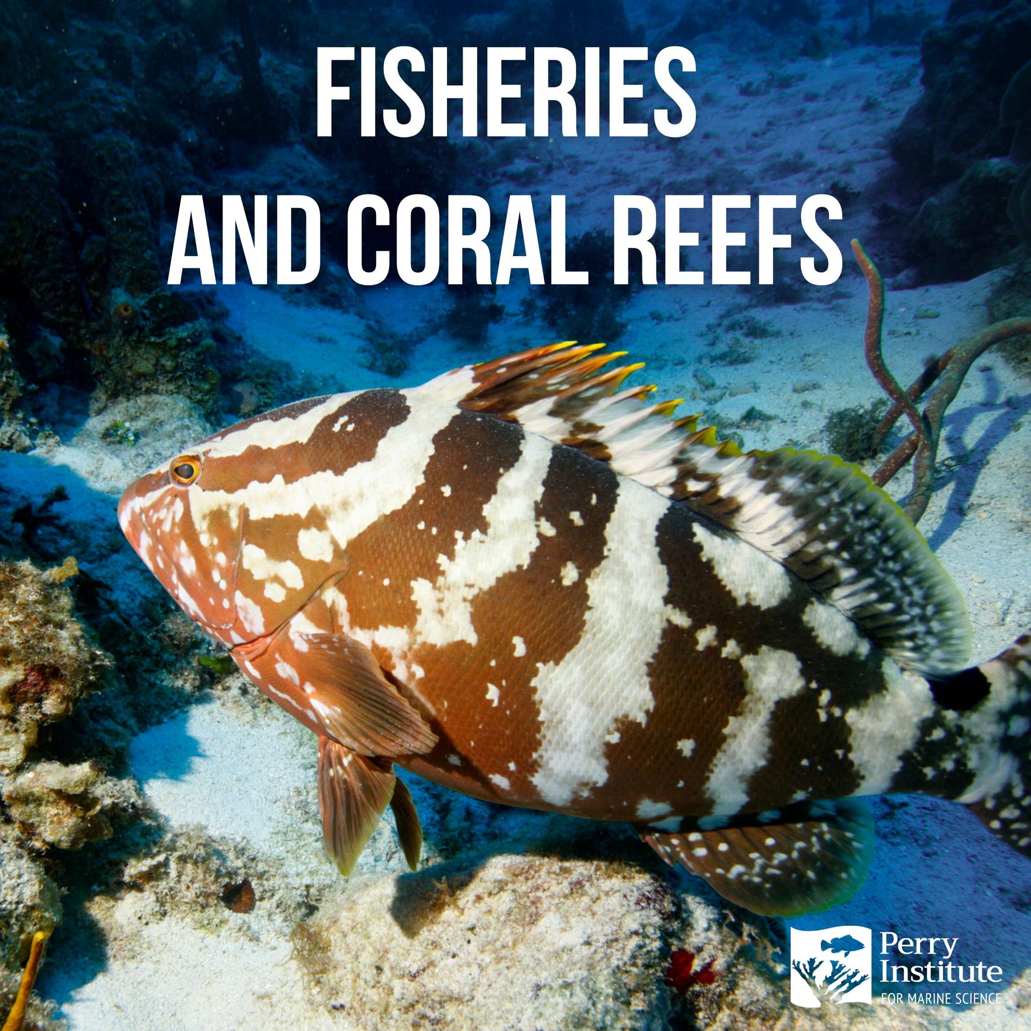 The fishing industry... - Perry Institute for Marine Science