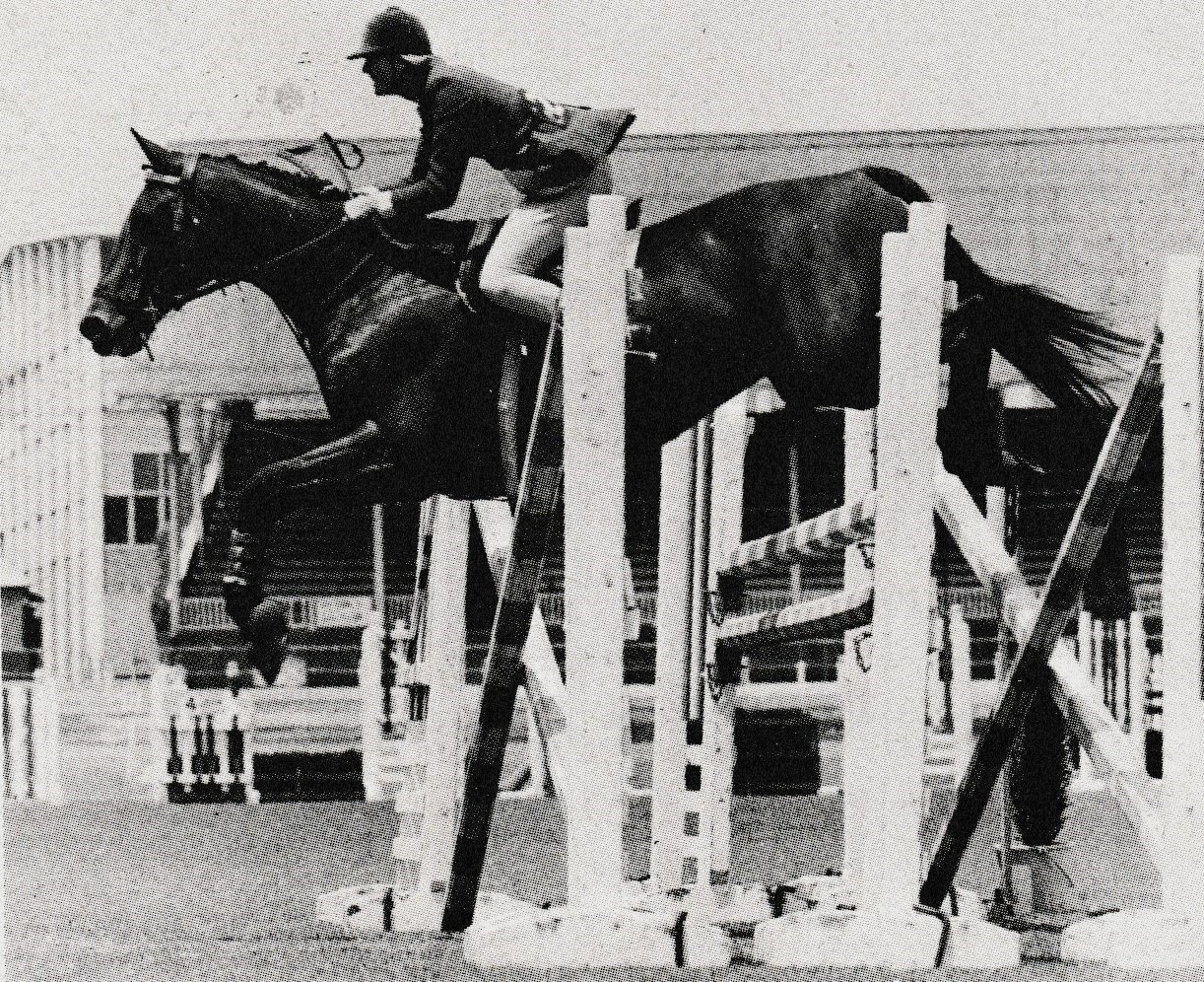 Equestrian - Miss Vicki Rose (most of us know her as Vicky Roycroft ...