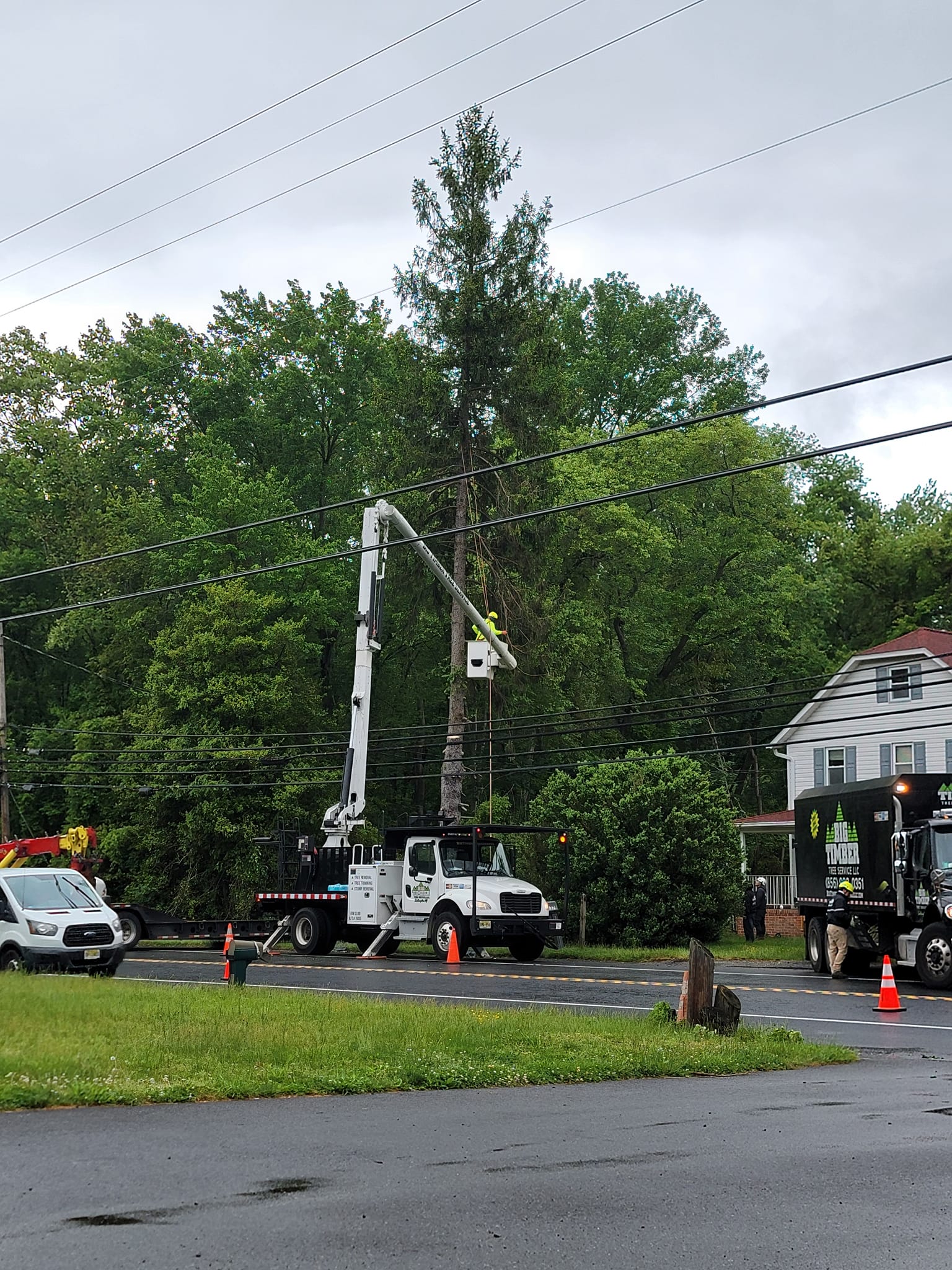 Big Timber Tree Service LLC | Marlton NJ