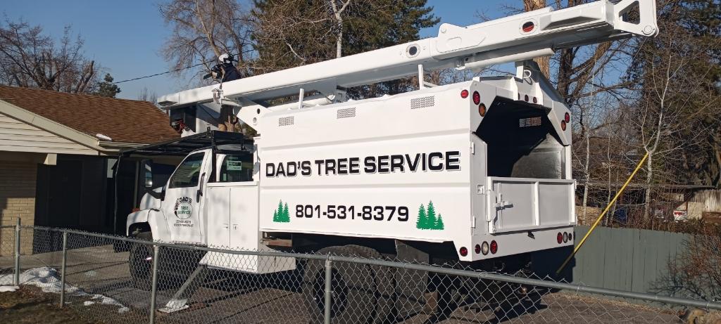 Dad's Tree Service | Salt Lake City UT