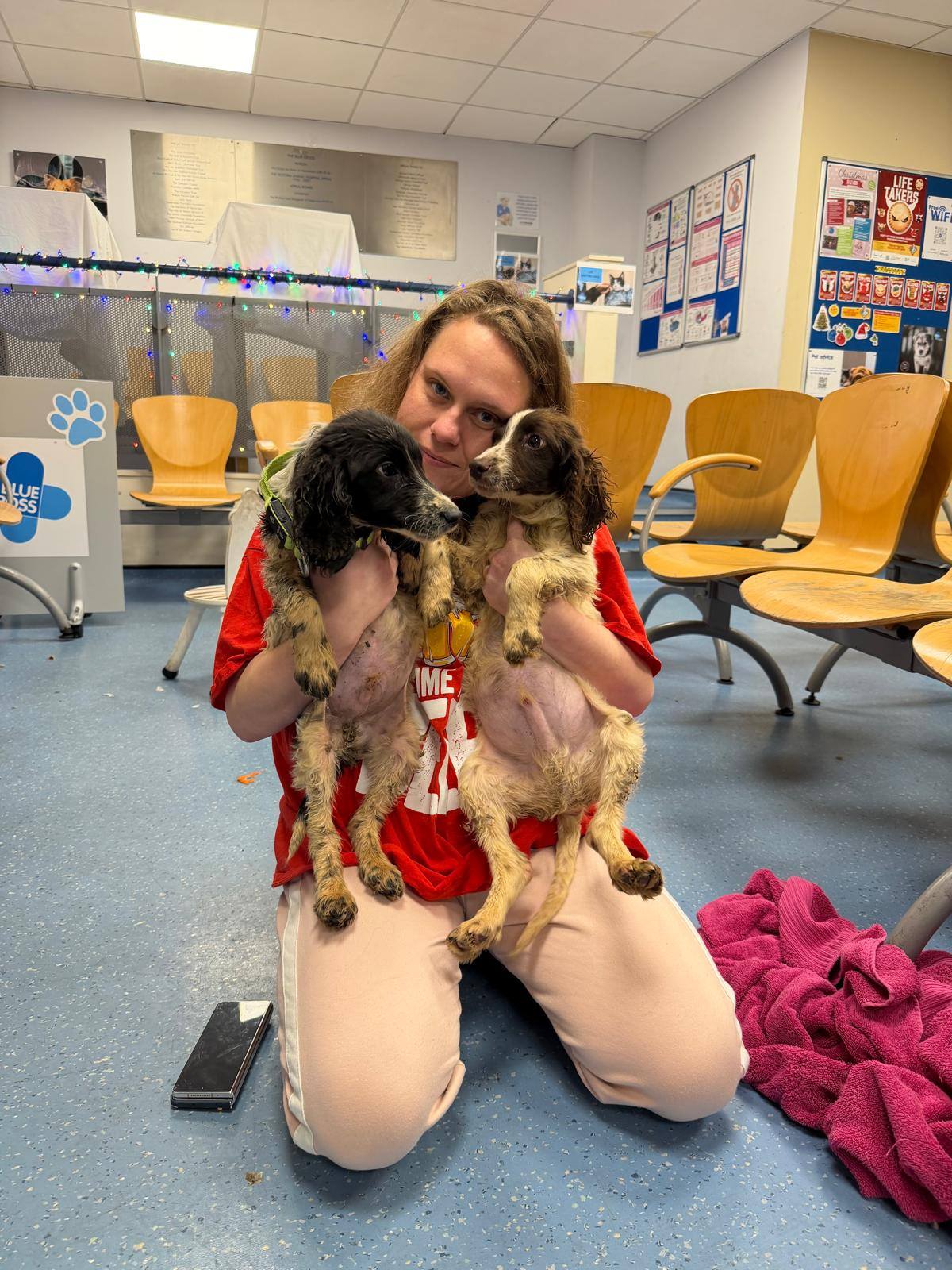 P... - Protected Paws Animal Rescue Registered charity 1202369