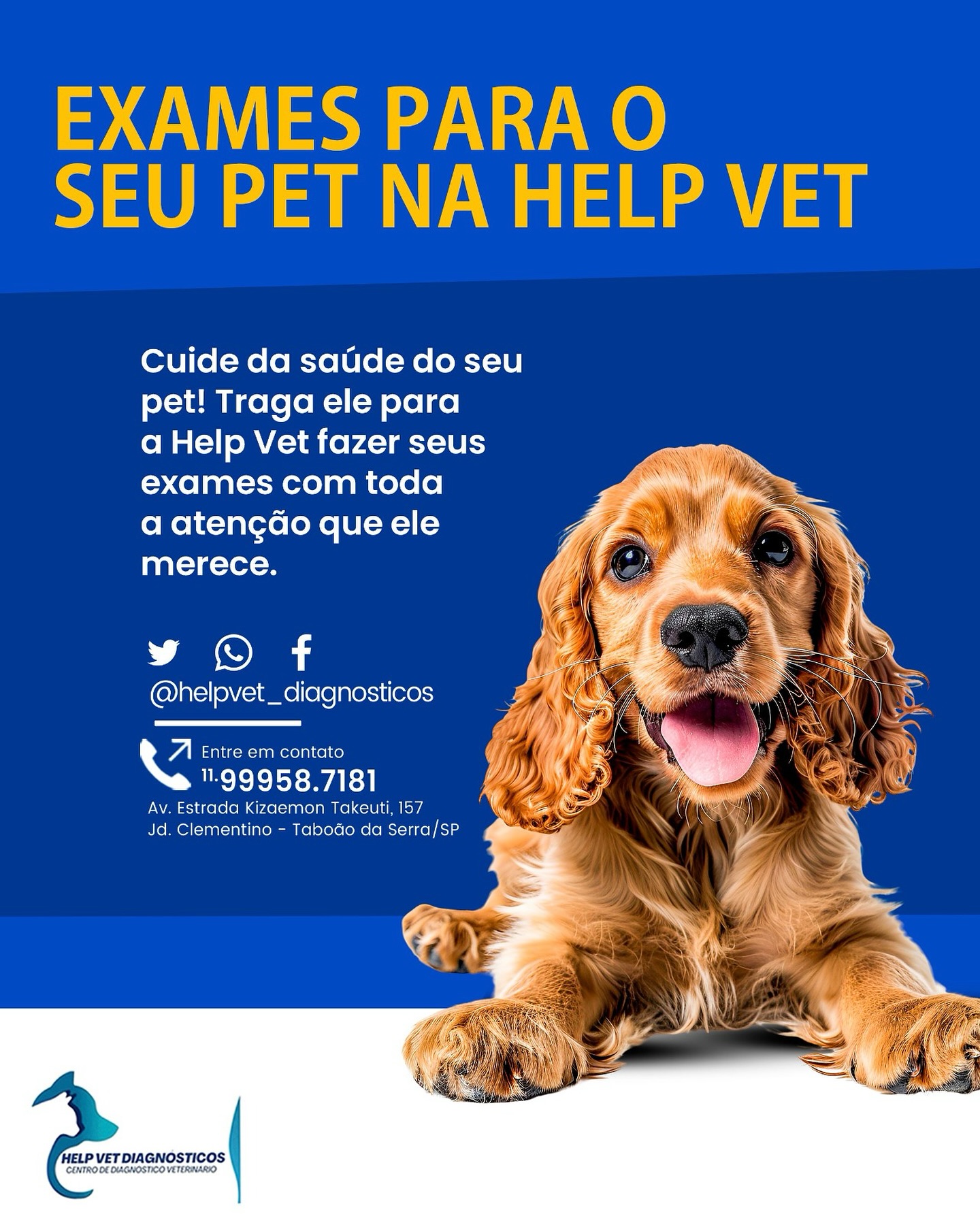 Help Vet Diagnósticos | Taboão da Serra SP