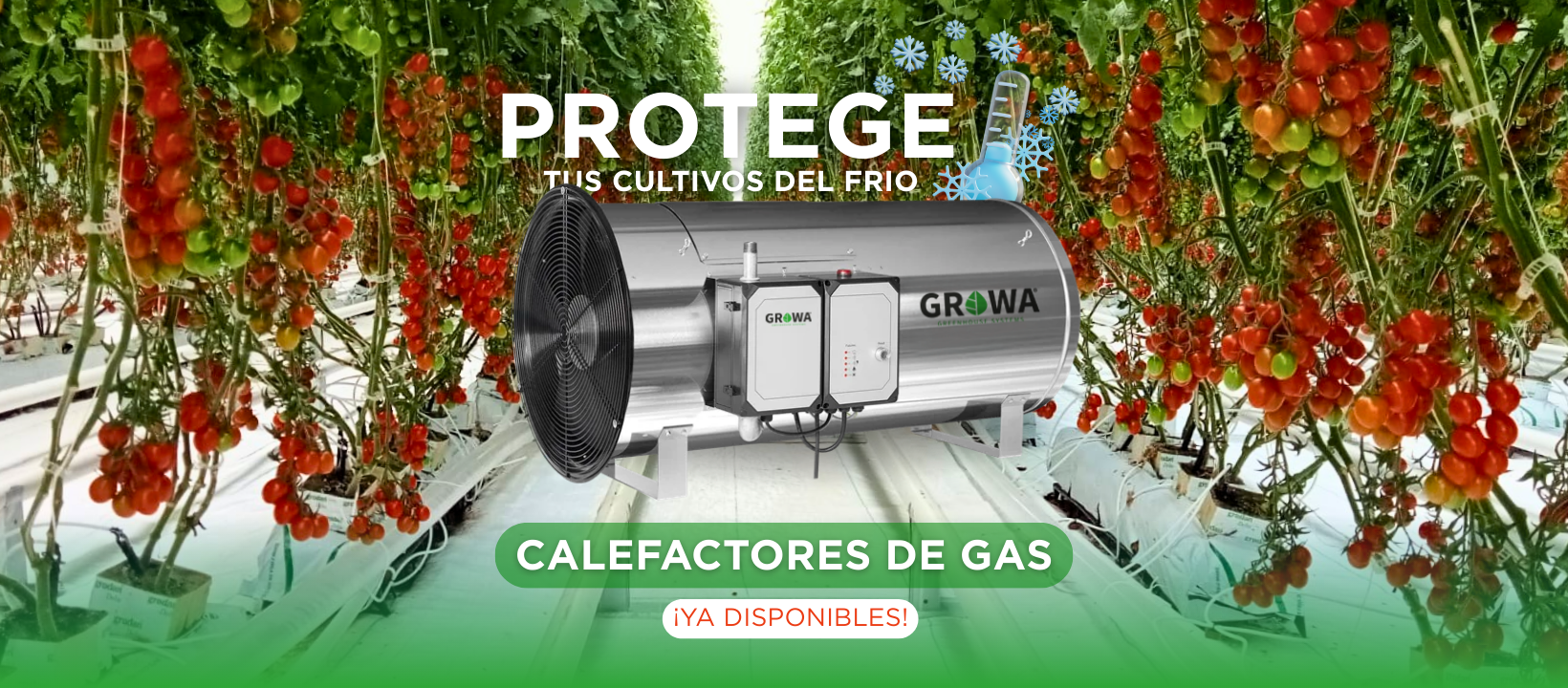 Argosee Greenhouse... - Argosee Greenhouse Technology