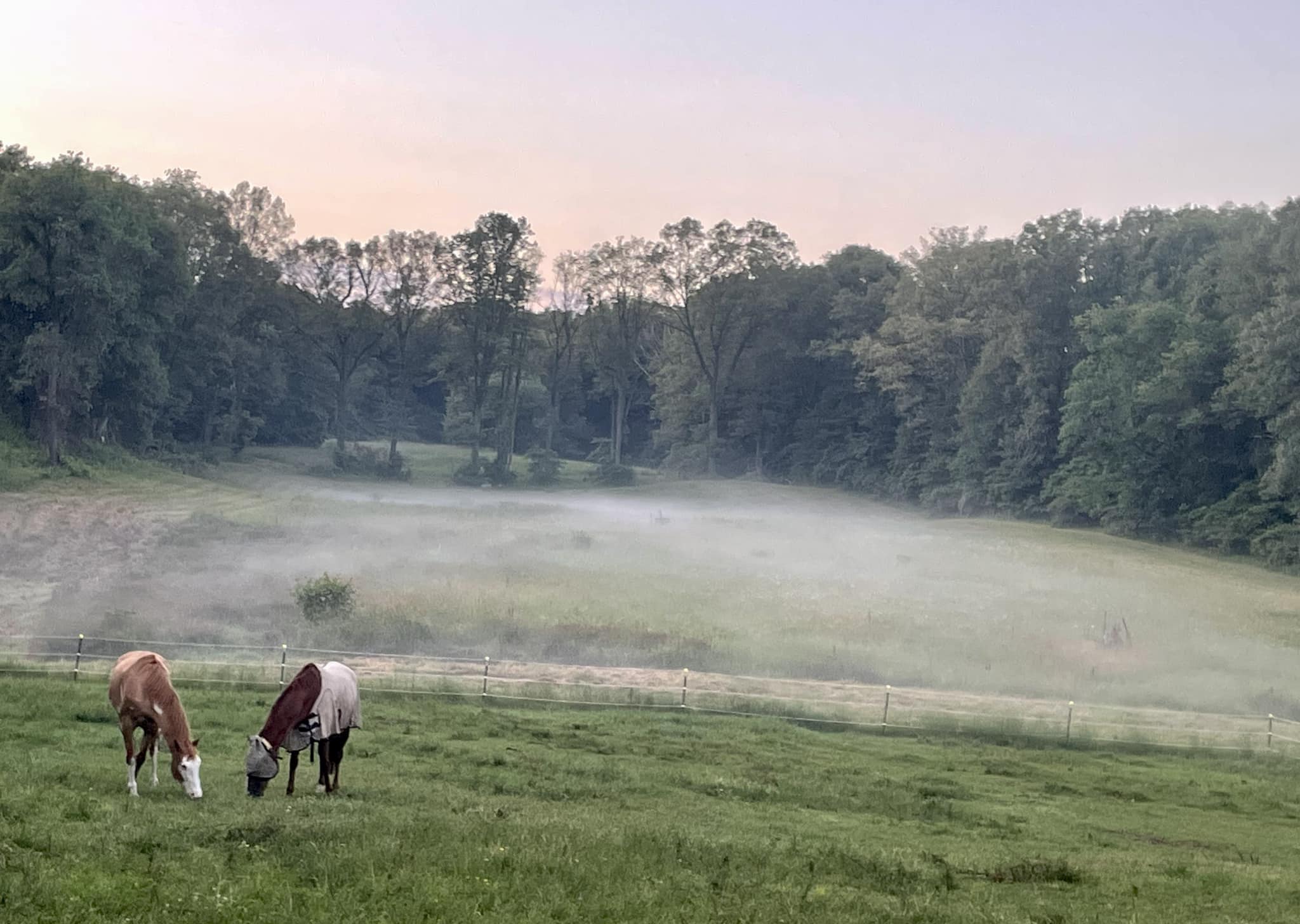 Starlight Pines Equestrian Center
