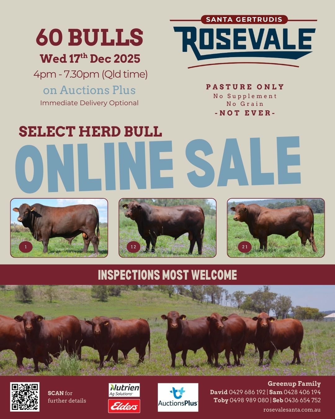 Rosevale Santa Gertrudis | Jandowae QLD