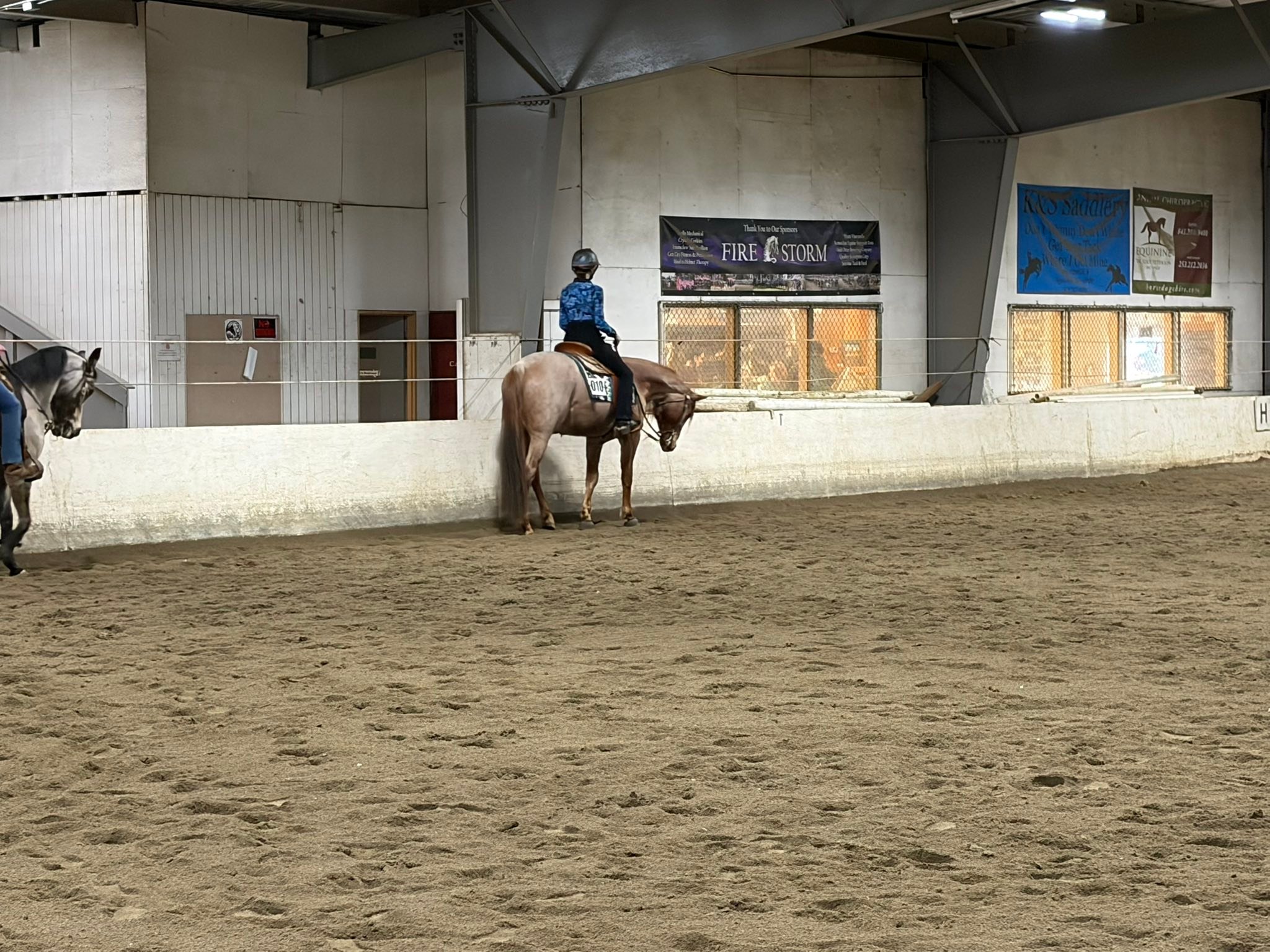 Simply Performance Horses | Roy WA