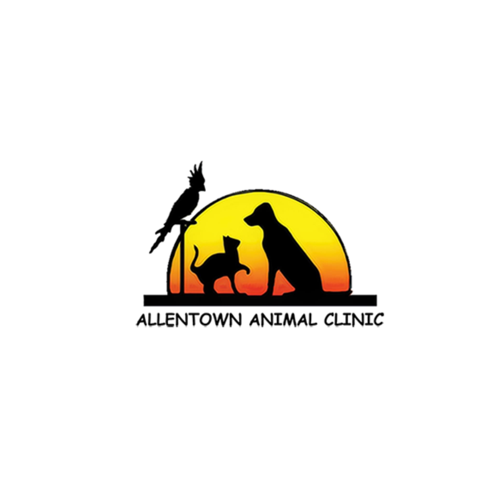 Allentown Animal Clinic Allentown PA